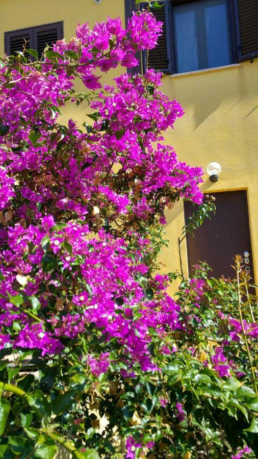 Vistazzurra Bed & Breakfast Ancona